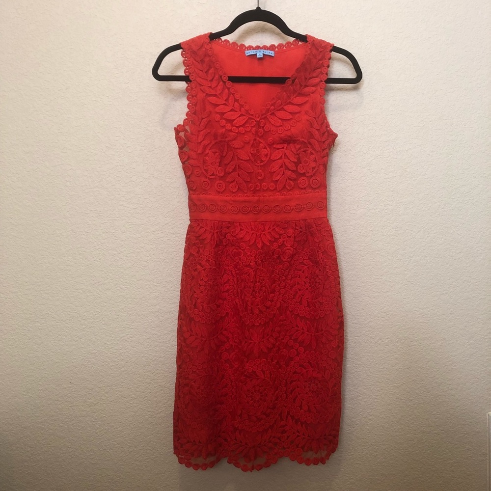 Pencil Dress